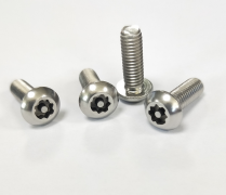 Custom Security Screw